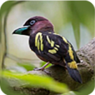 WWW,av727·COM网站APP最新版