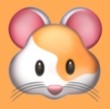 ❉91网站入口APP应用