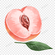 WWW,av511·COM网站APPAPP应用