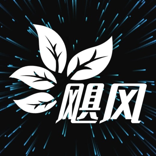麻豆网站APP应用