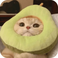 情侣直播APP应用
